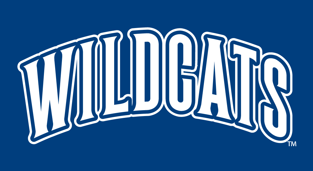 Villanova Wildcats 1996-Pres Wordmark Logo v2 diy iron on heat transfer